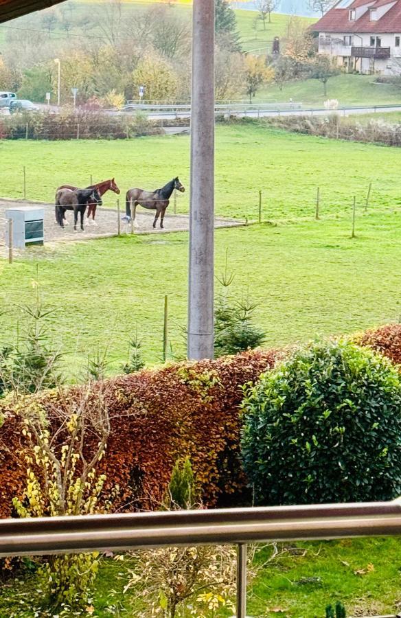 Landloft Leilighet Oberteuringen Eksteriør bilde